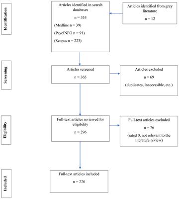 “Dem sey mi mad”: a scoping review of the attitudes and beliefs of English-speaking Afro-Caribbeans about psychosis